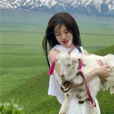 大侦探波洛第十二季